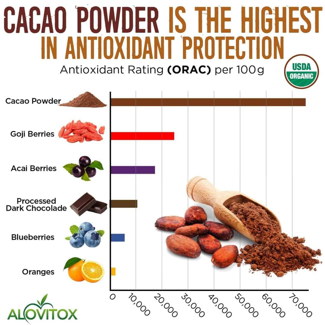 Cacao powder | the highest antioxiant protection