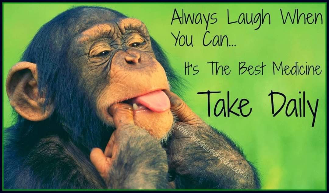 Laughter: the best medicine to keep you healthy 