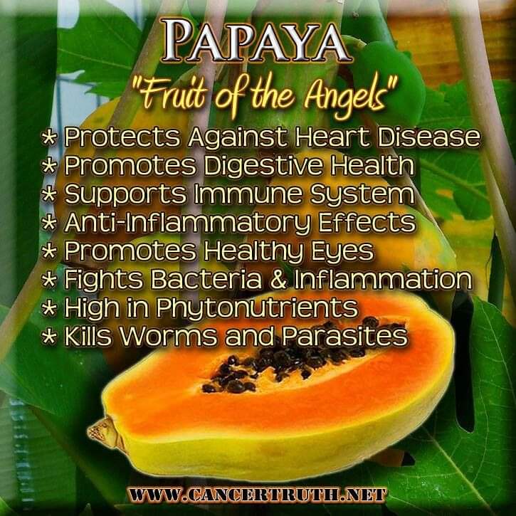 PAPAYA| Fruit of the Angel