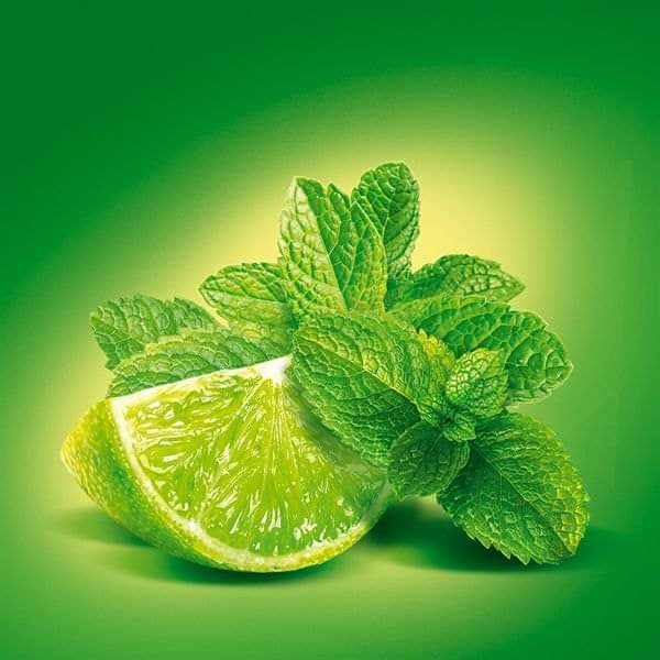 Understanding the HEALLING POWER of the green nature.